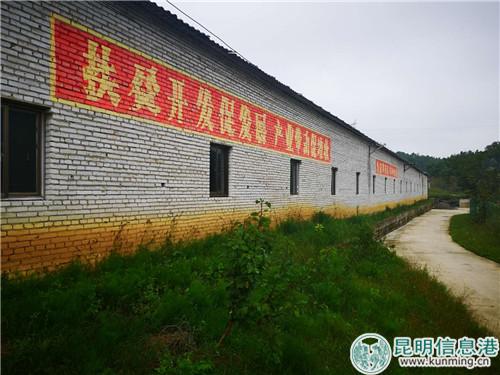 寻甸岚亚苗鸡养殖基地厂房