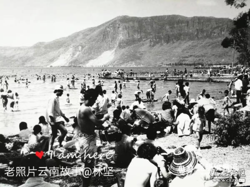 去滇池游泳