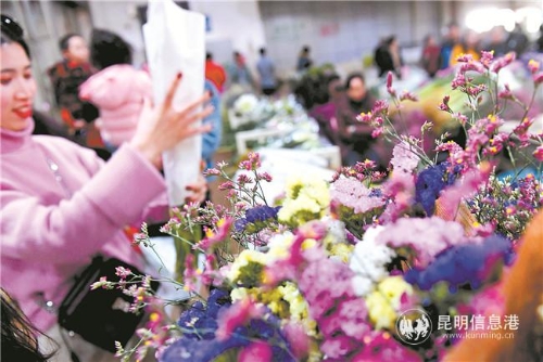 市民在斗南花市选购鲜花。 记者杨艳辉摄