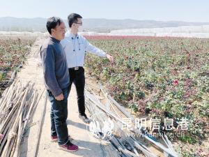 现场调查花农受灾情况