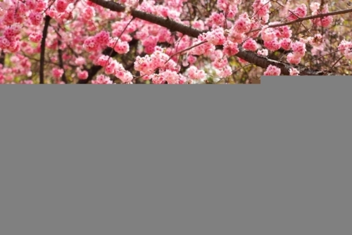 16.webp