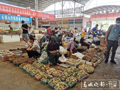 本报资料图