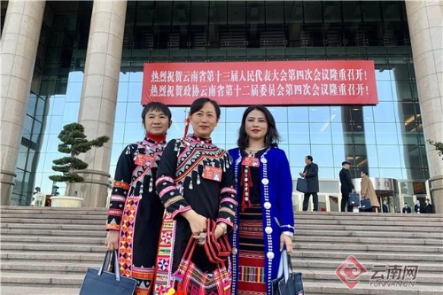 政协云南省第十二届委员会第四次会议开幕会