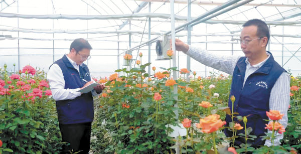 e7dd9af4063eb765c7c78668af9e5054611a314a e7dd9af4063eb765c7c78668af9e5054611a314a